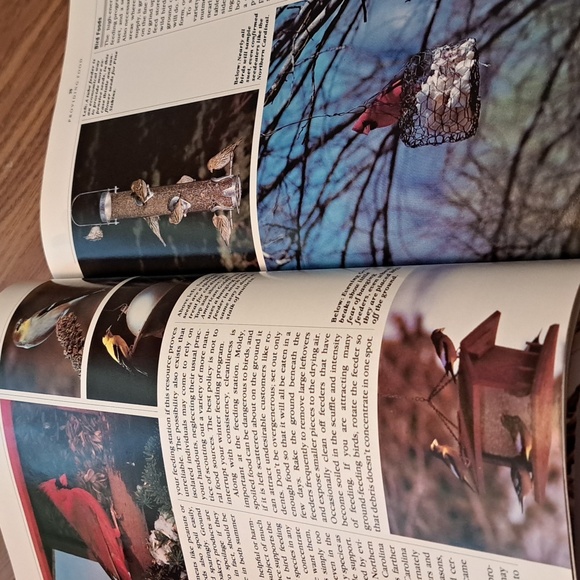 How to attract Birds/ BUNDLE ONLY 2or more items - Picture 11 of 16